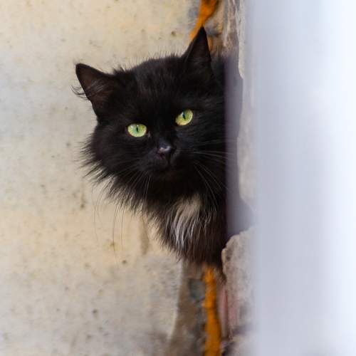Photo #12228903