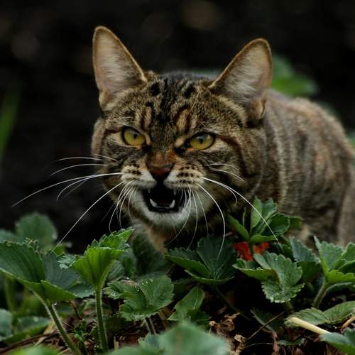 Photo #12229093