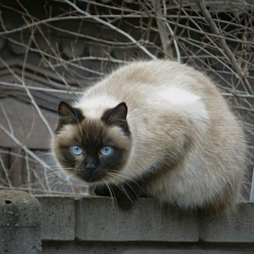 Photo #12229238