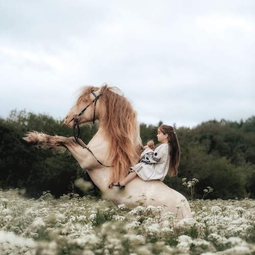Photo #12229431