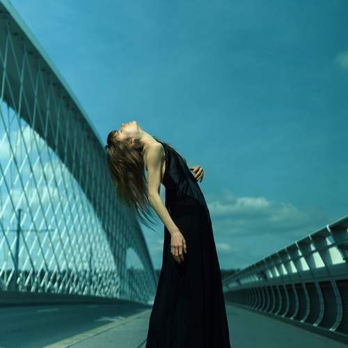 Photo #12229560