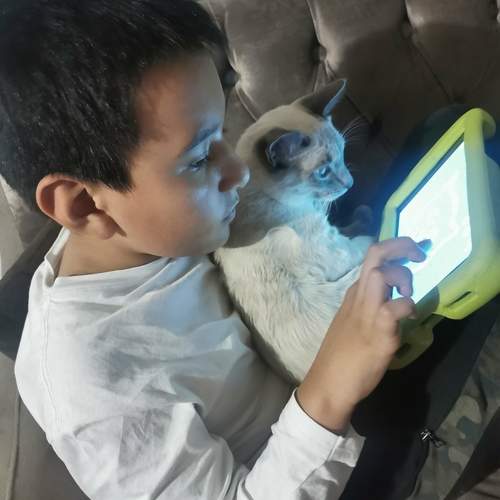 Photo #12229587