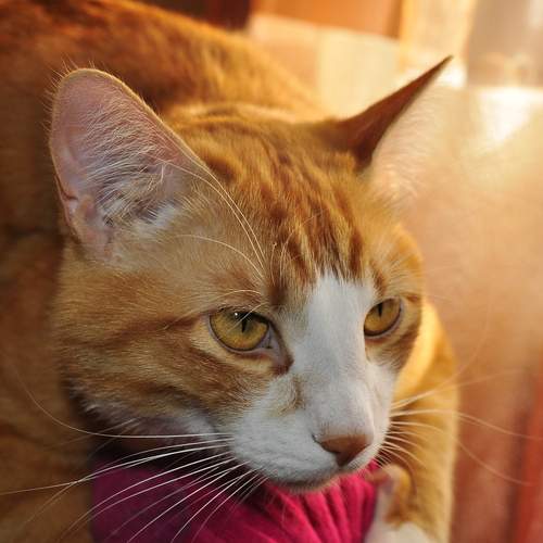 Photo #12229669