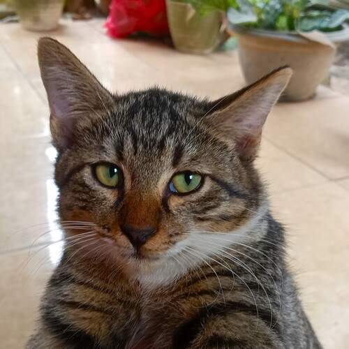 Photo #12229811