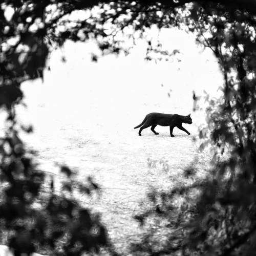 Photo #12229853