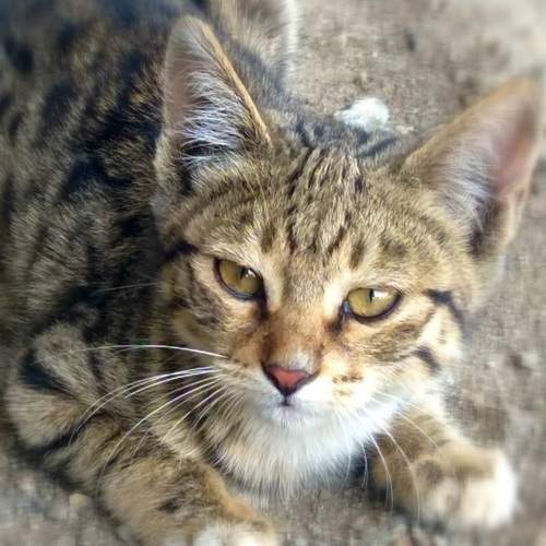 Photo #12230089