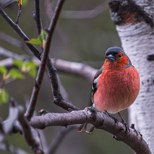Photo #12230095