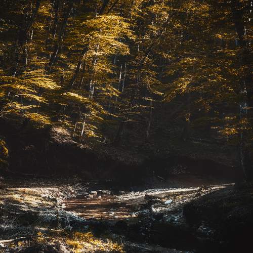 Photo #12230137