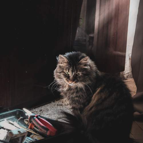 Photo #12230156