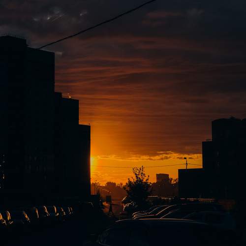 Photo #12230344