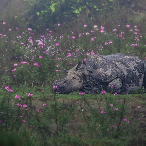 Photo #12230421