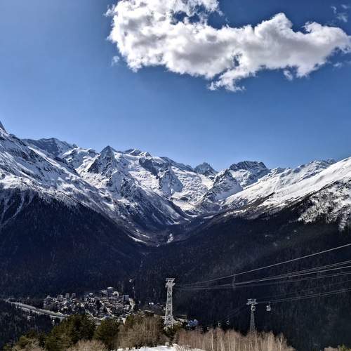 Photo #12230502
