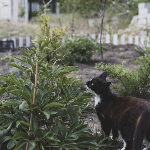 Photo #12230567
