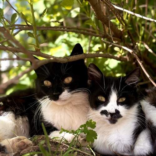 Photo #12230820