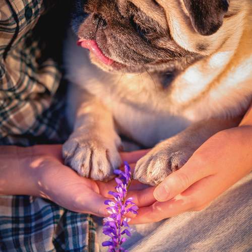 Photo #12230899