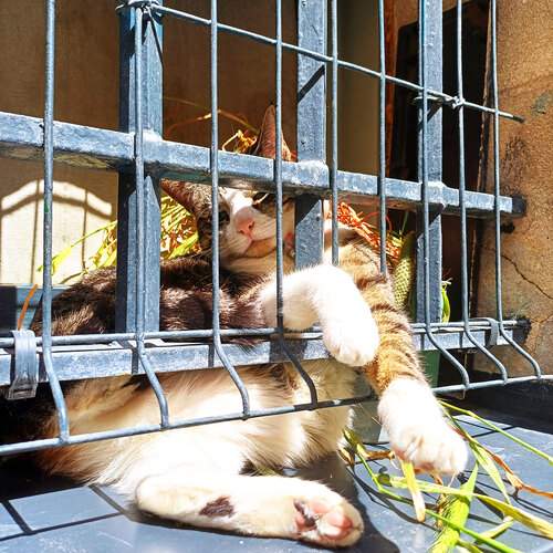 Photo #12230938