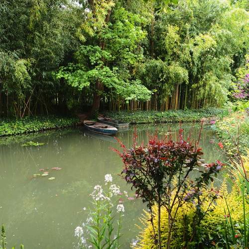 Photo #12230976