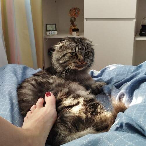 Photo #12231022