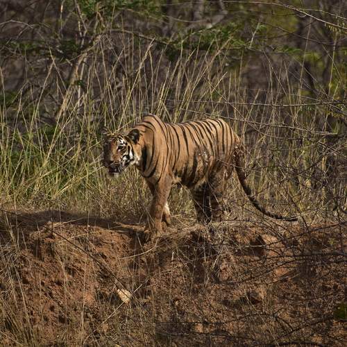 Photo #12231355