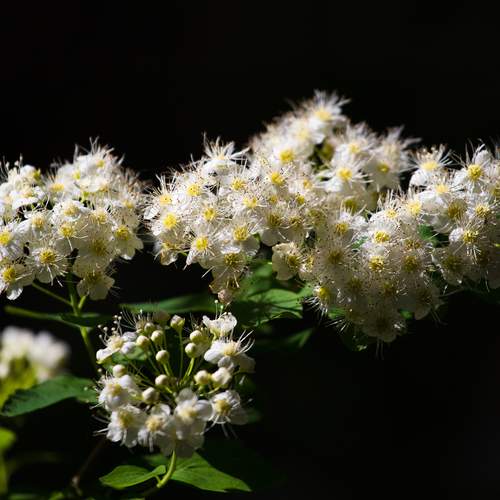Photo #12231385