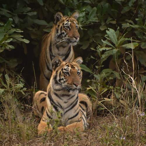 Photo #12231412