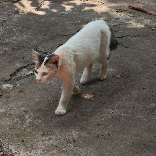 Photo #12231466
