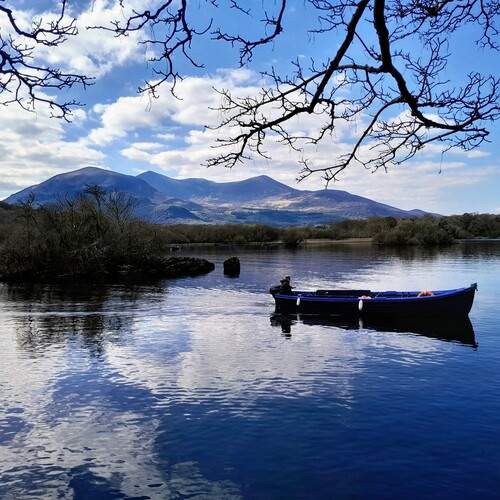 Photo #12231468