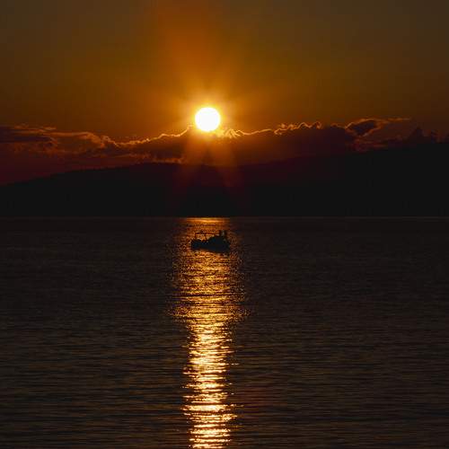 Photo #12231470