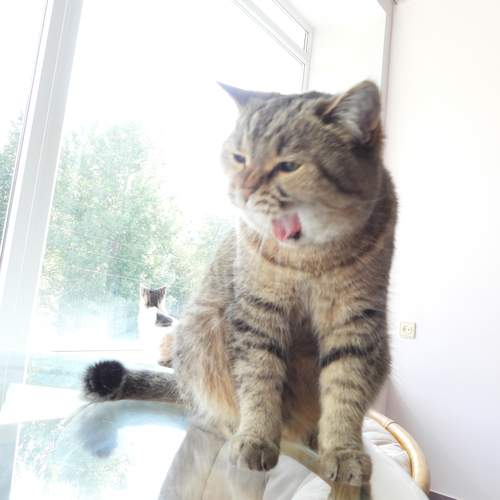 Photo #12231683