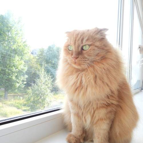 Photo #12231693