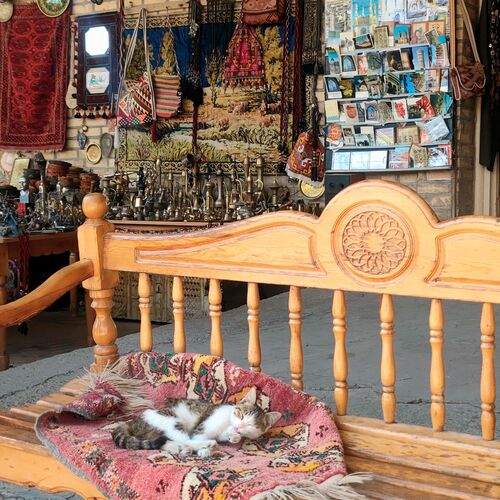 Photo #12231742