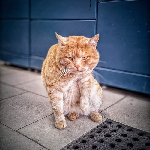 Photo #12231804
