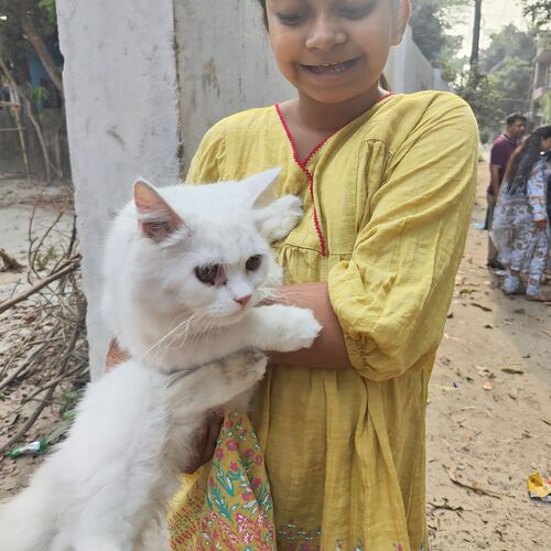 Photo #12231872