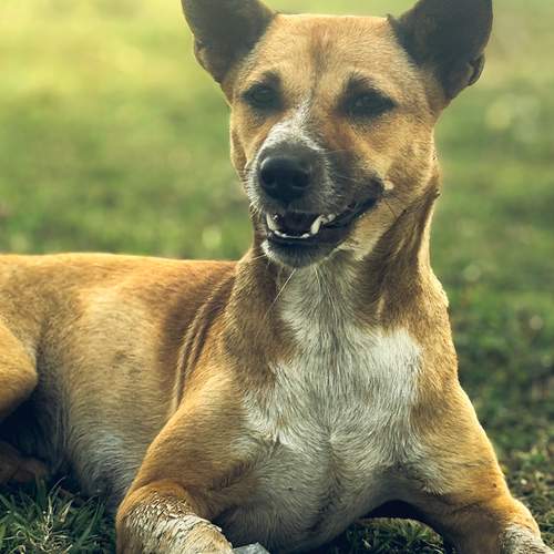 Photo #12232039