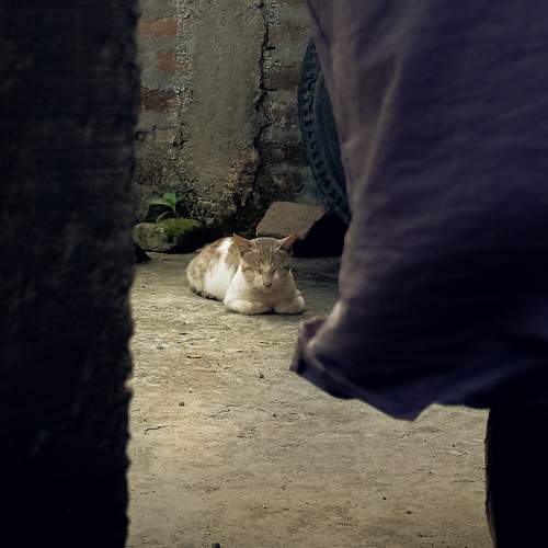 Photo #12232071