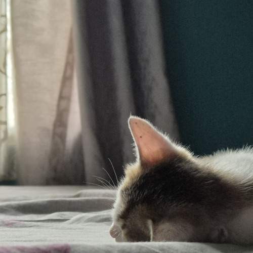 Photo #12232094