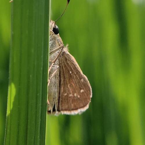 Photo #12232099