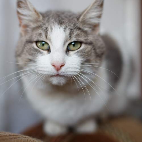 Photo #12232121