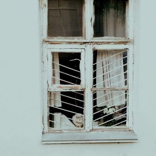Photo #12232184