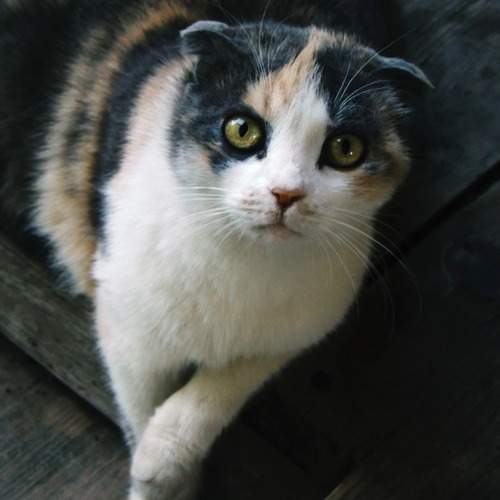 Photo #12232233