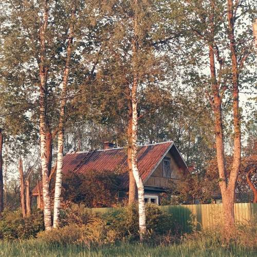 Photo #12232404