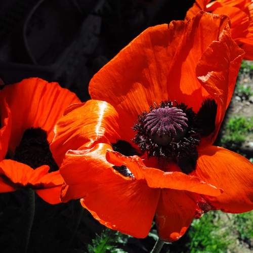 Photo #12232647
