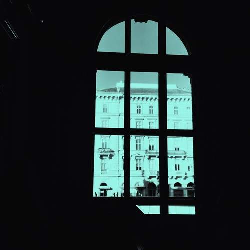 Photo #12232690