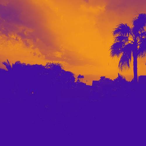Photo #12232701