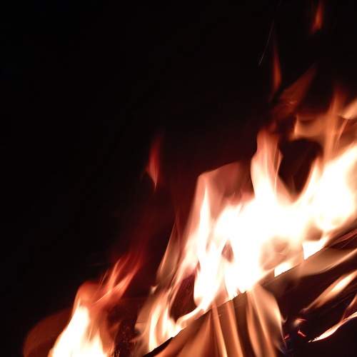 Photo #12232801