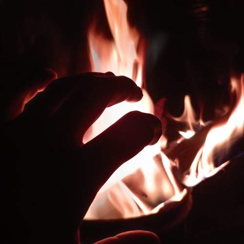 Photo #12232802