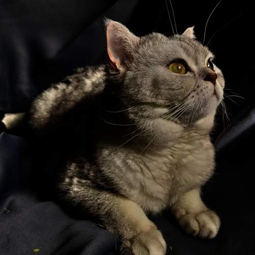 Photo #12232909