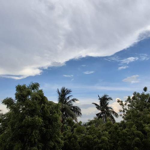 Photo #12232910