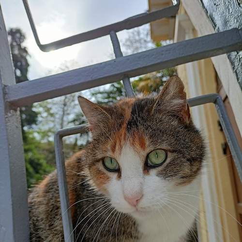 Photo #12232923