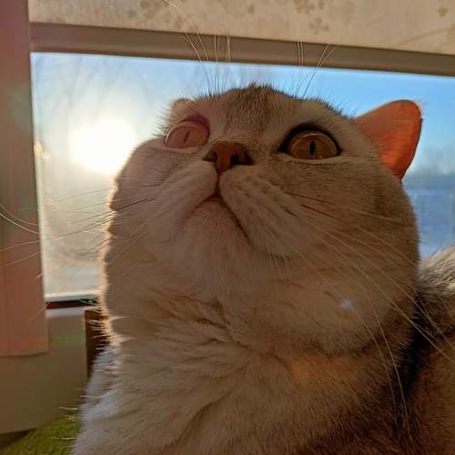Photo #12232942